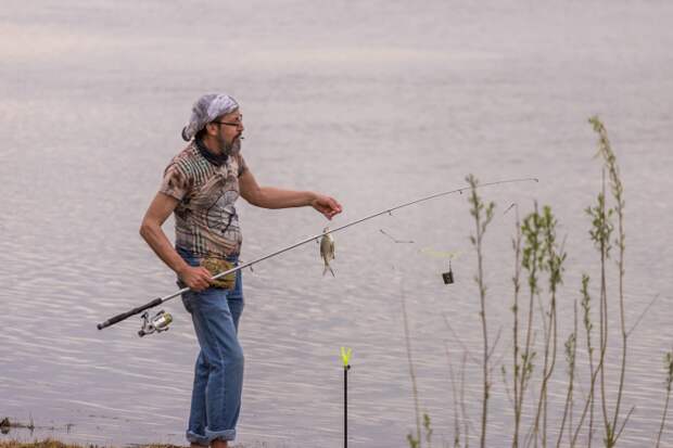 Яндекс назвал лучшее время и место для рыбалки в Новосибирске