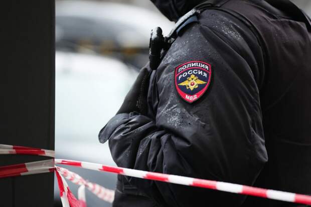 В Балашихе задержали девушку, угрожавшую поджечь ТЦ по указанию мошенников