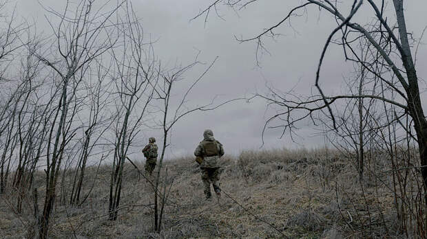 Захарова назвала разговоры Запада о мире на Украине камуфляжем для передышки ВСУ