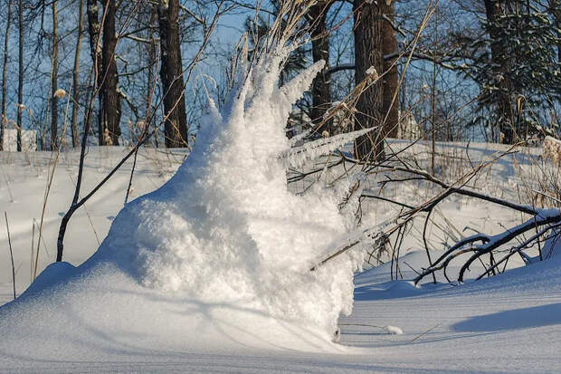 В Новосибирске похолодает в Тимофеев день 4 февраля перед весенним теплом