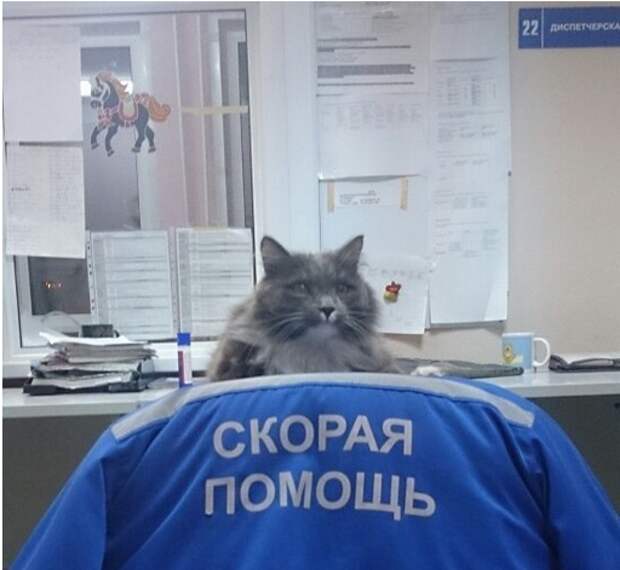 СПАСИТЕ НАШИ ДУШИ