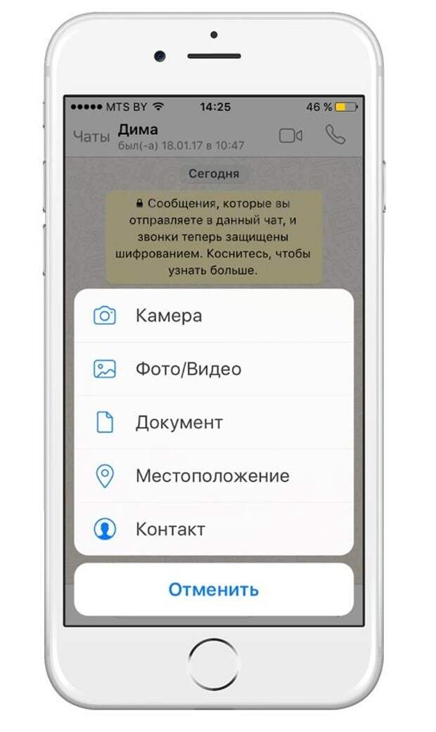 10 полезных опций WhatsApp, которые следует знать каждому
