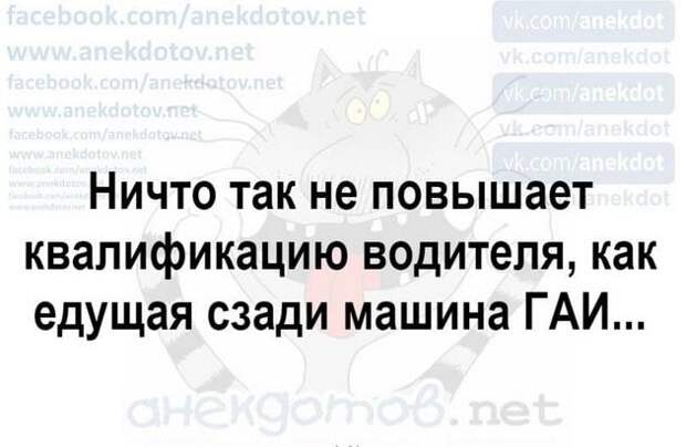 В школе учительница собирает домашние задания. Вовочка говорит...