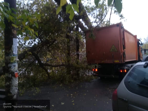В Челябинске мусоровоз вырвал с корнем дерево и протащил его несколько метров