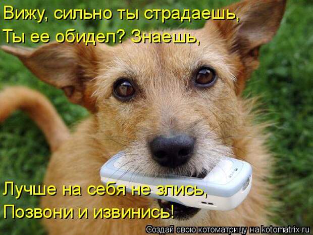 Котоматрицы великолепные, каждая с кусочком позитива и хорошего настроения!!!