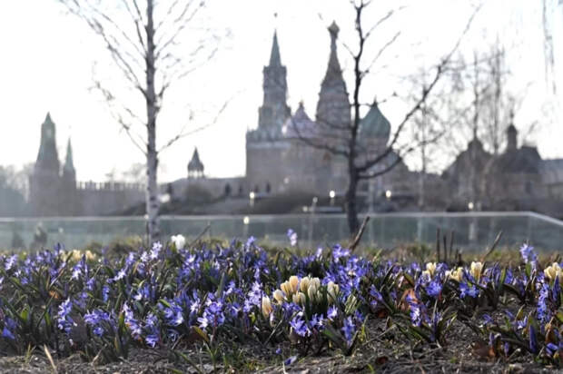 В Москве 29 марта зафиксировали самую тёплую погоду с начала года