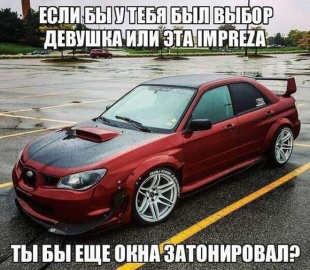 Смешные картинки с подписями (20 картинок)