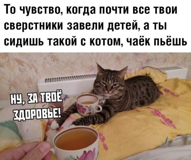 Подборка прикольных картинок