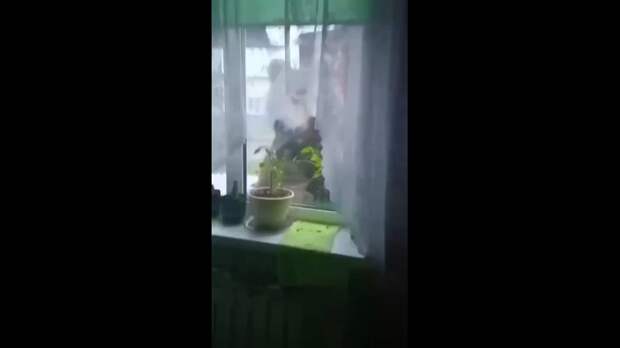 Video: Клип @donetskdnr_vk