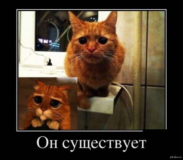 Подборка смешных и веселых демотиваторов (11 фото)