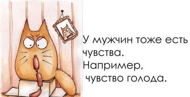 4809770_u0myjik_1_ (604x311, 77Kb)