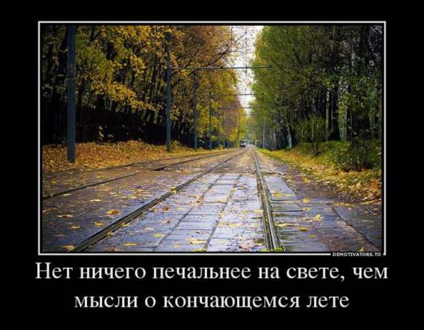 Немного новых демотиваторов