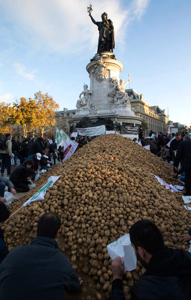 Фермеры расфасовывают картофель на площади Республики в центре Парижа.
