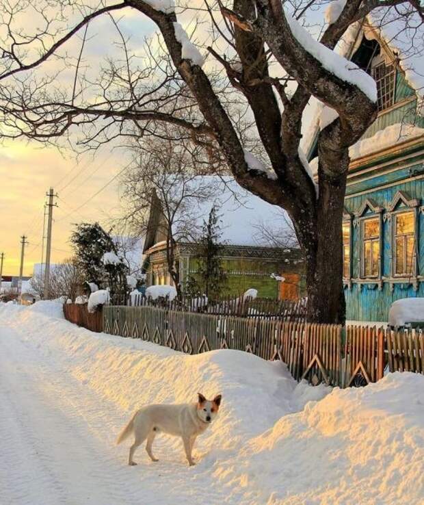 Фотографии русской деревни, которые вызывают ностальгию Фотографии русской деревни, которые вызывают ностальгию