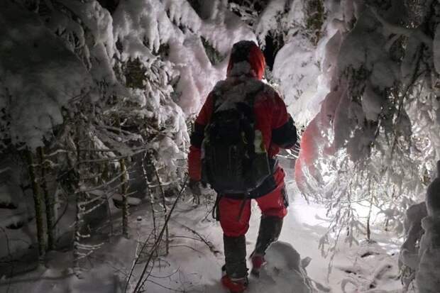 Поисковики нашли живыми заблудившихся в лесу в Ленобласти отца и сына