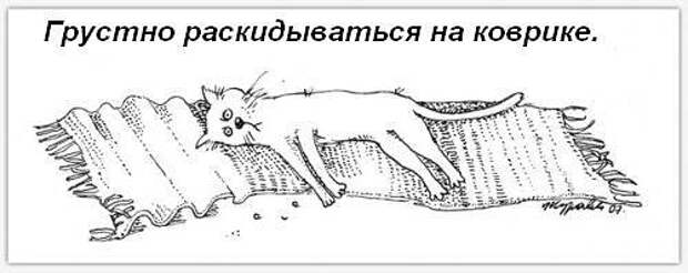 Обязанности кота по дому (9 фото) Обязанности кота по дому (9 фото)