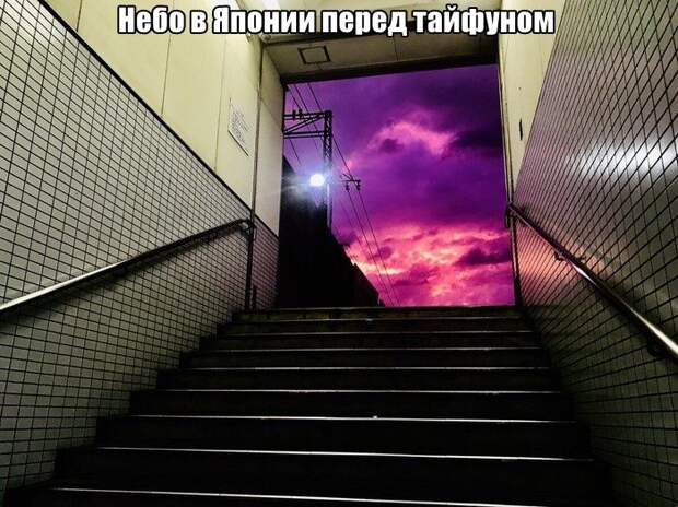 1571081452_0016.jpg