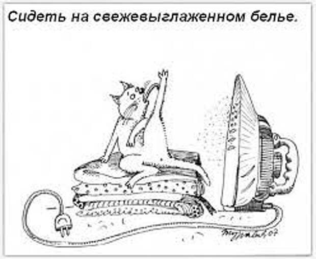 Обязанности кота по дому (9 фото) Обязанности кота по дому (9 фото)