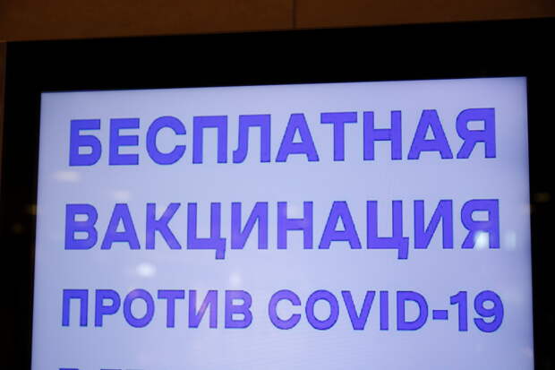 В Петербурге исчезнет вакцина «Спутник Лайт»: чем заменить