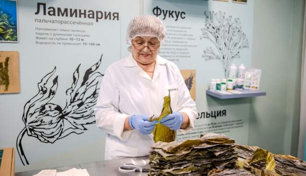 Фото: АНО "Национальные приоритеты" / Д.Лапин