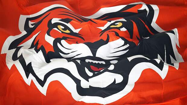 «Амур» в серии буллитов нанес поражение «Барысу»