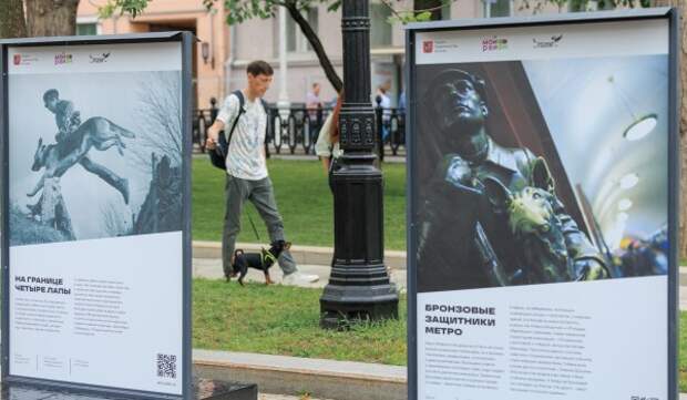 Фотовыставка проекта «Друг, спасатель, защитник» открылась на Тверском бульваре