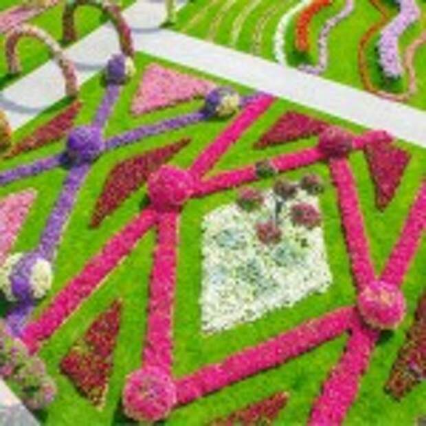 Dubai Miracle Garden