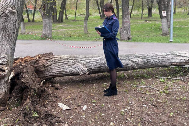 112: в результате падения деревьев в Самаре погибли три человека