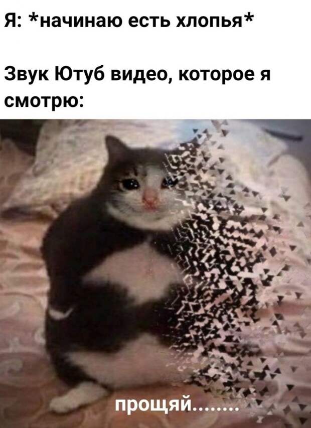 «Ты чево наделал»: Что за мем?