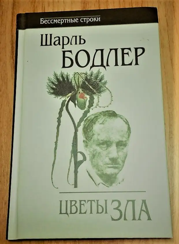 Цветы зла поэт. Сборник цветы зла. сборник цветы зла бодлера. цветы зла бодлер благословение. сборника «цветы зла» первое издание.