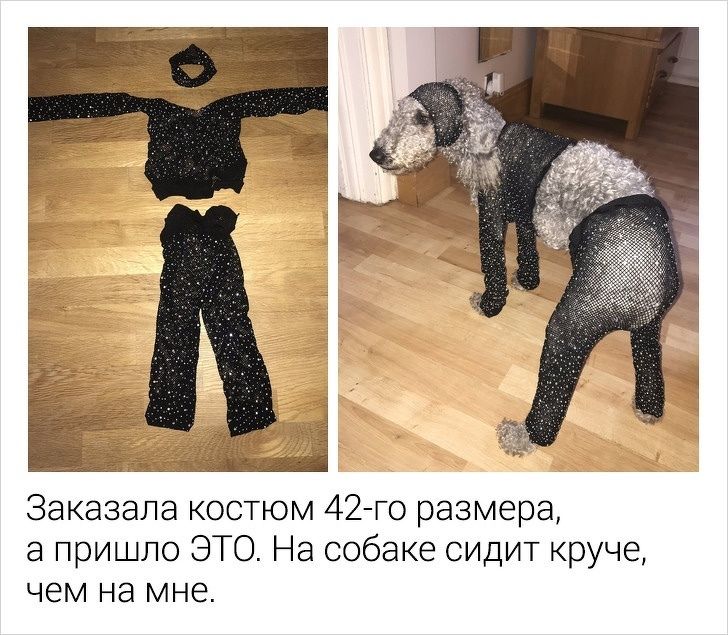 костюм, отзыв