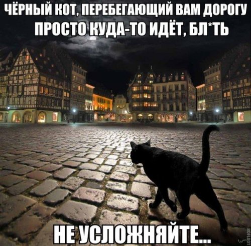Прикольные картинки к началу трудовой недели (38 шт)