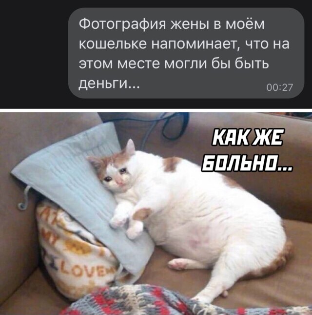 Смешные картинки 6 июля 2021