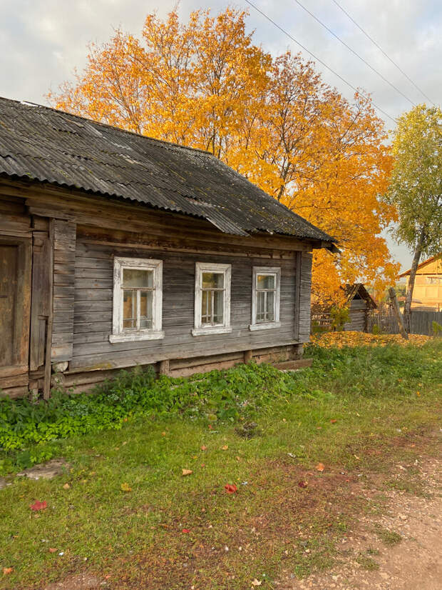 золотая осень у домика