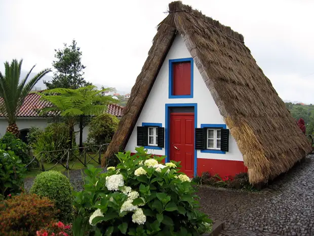 ������ �� ������