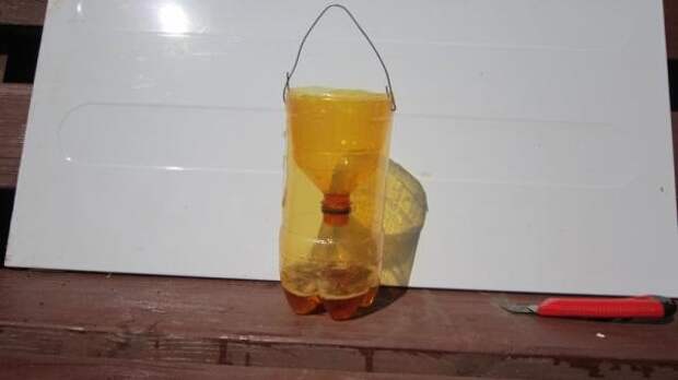 Ловушка для ос из пластиковой бутылки