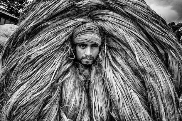 NATIONAL GEOGRAPHIC PHOTO  CONTEST 2018: ЛУЧШИЕ СНИМКИ