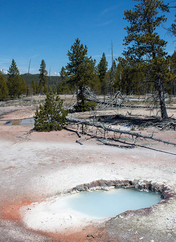 Йеллоустоун (Yellowstone)
