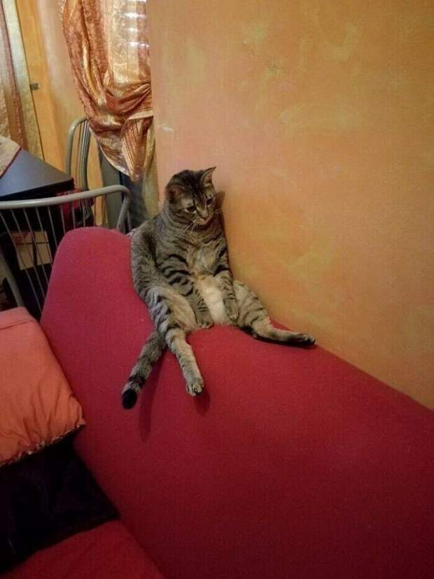 Незадача и невезение Незадача и невезение