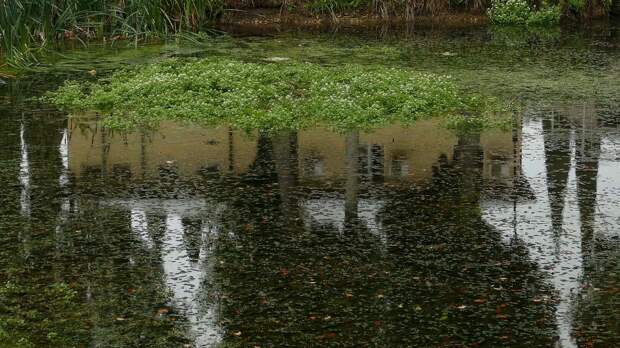 Александра Митлянская, «Дождь. Новый Афон», 2024 год