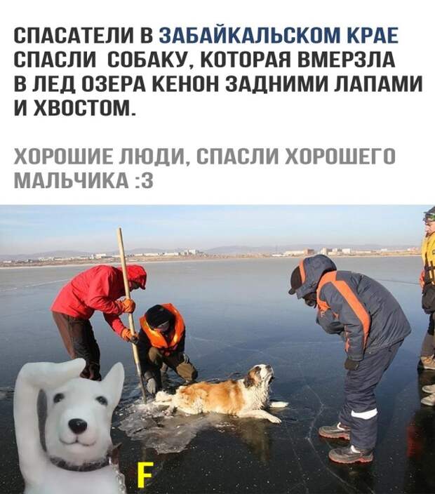 Доброта, которой нам так не хватает в ежедневных новостях Доброта, которой нам так не хватает в ежедневных новостях