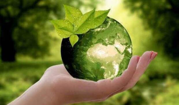 Во Всемирный день окружающей среды 5 июня 2024 года пригодятся поздравления и открытки