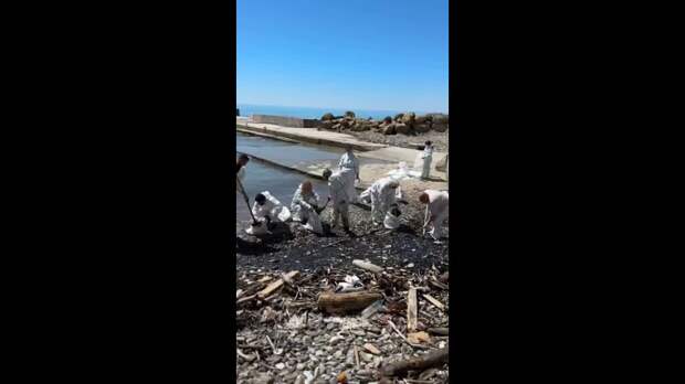 Волонтеры в Туапсе жалуются на нехватку рук для уборки мазута. Есть респираторы, защитные костюмы, мешки, — людей мало. https://t.me/webmoney_dn...