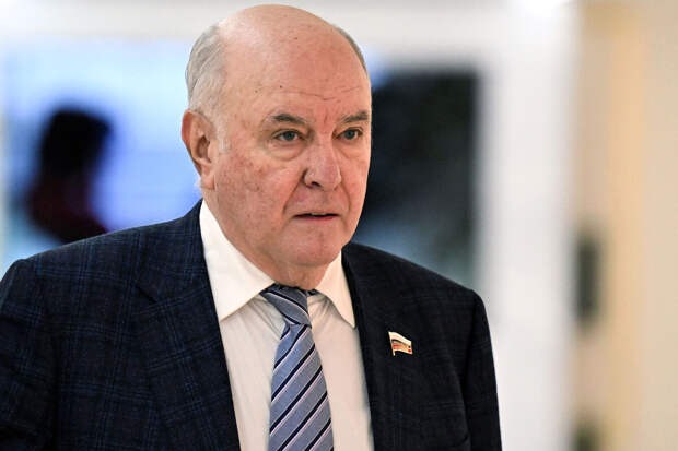 Сенатор Карасин раскритиковал призыв Зеленского давить на Россию