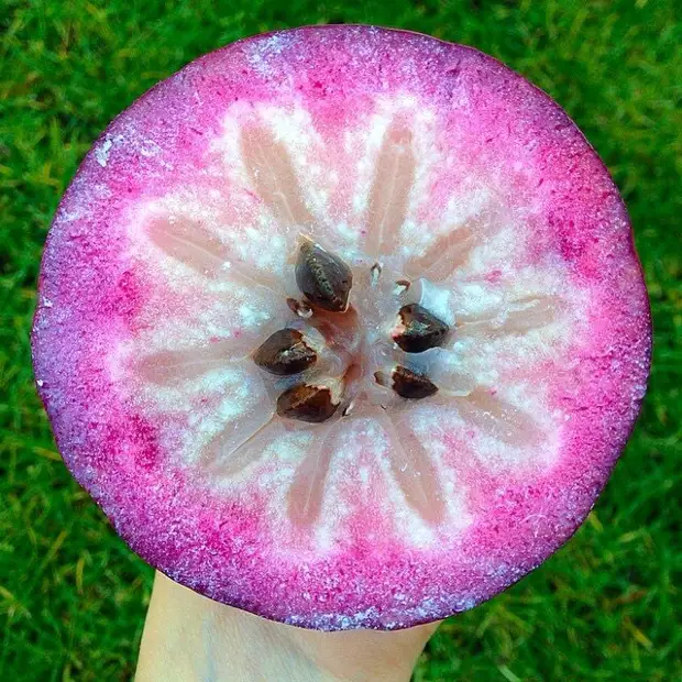 22 фрукта, которых многие никогда не пробовали