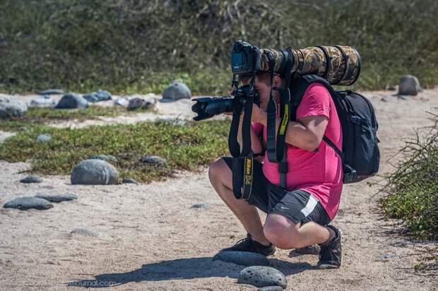 galapagos15 Галапагосы. Остров Санта Фе