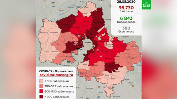 Названы округа Подмосковья с самым большим числом инфицированных COVID-19