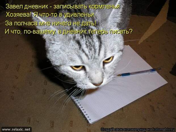 kotomatrix_122