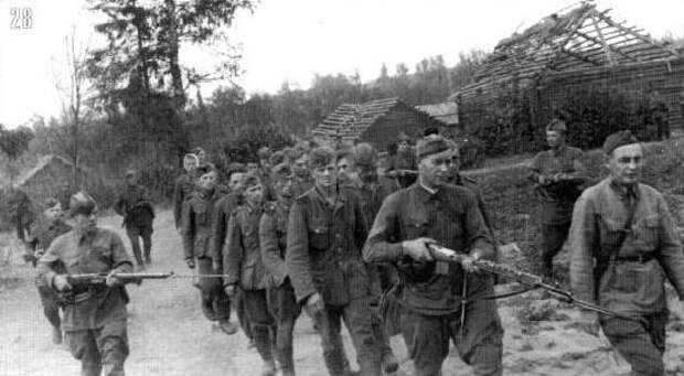 Колонна немецких пленных, захваченных 149-й пехотной дивизией в боях за деревню Захарово. 23 июля.