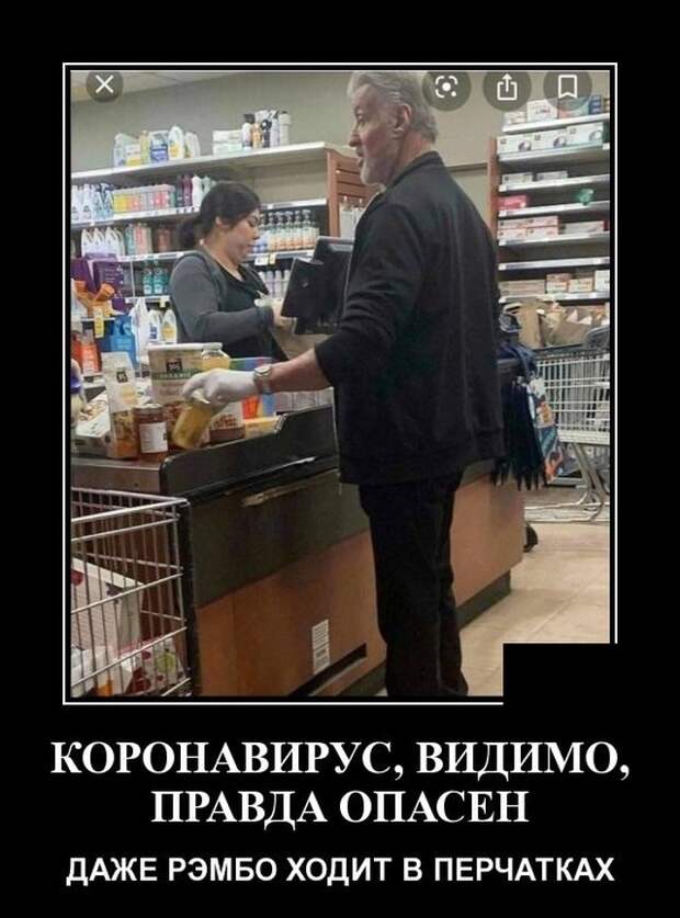 www.vsyako.net